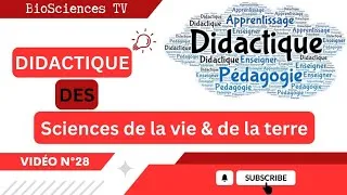 Miniature : La didactique générale et disciplinaire (Vidéo N°28) - الديداكتيك العام والخاص