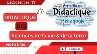 Miniature : La didactique générale et disciplinaire (Vidéo N°26) - الديداكتيك العام والخاص