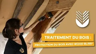 Miniature : Traitement du bois : protection du bois avec Wood Bliss®