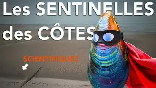 Miniature : 🐚 Pourquoi étudier les MOULES peut sauver la biodiversité ?