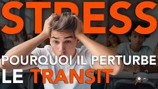 Miniature : Le BAC 2024 (Ils en ont chié...)