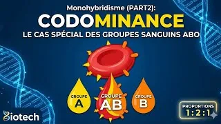 Miniature : Monohybridisme (PART2): CODOMINANCE