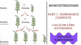 Miniature : Monohybridisme (PART1): Dominance complète expliquée simplement