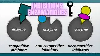 Miniature : ENZYMOLOGIE: LES INHIBITIONS EXPLIQUEES SIMPLEMENT