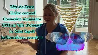 Miniature : Plein feu sur le CVQ Médusos...
