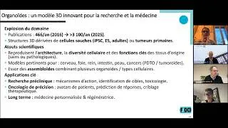 Miniature : Livre blanc 2025 de la filiere francaise des Organoides et Organes sur Puce - F30CI
