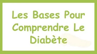 Miniature : Le Métabolisme Glucido-Lipidique : Les Bases Pour Comprendre le Diabète