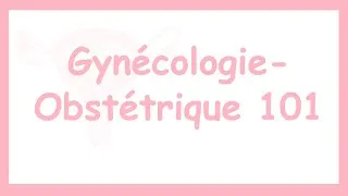 Miniature : Gynécologie-Obstétrique 101: Entre Cours Et Accouchements
