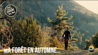Miniature : L’Automne est de retour dans ma forêt ! 🍂🍁🌲🏕️🤩