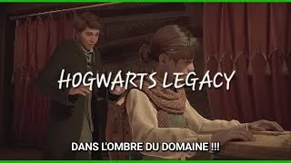 Miniature : Hogwarts Legacy - Dans l'ombre du domaine !!!