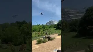 Miniature : Zoo de Beauval #3