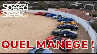 Miniature : ROADTRIP : Lâcher de chevaux en CAMARGUE ! - SpeedSleek