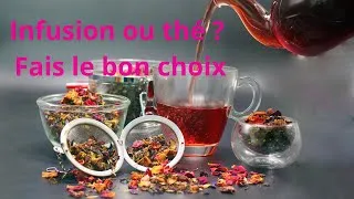 Miniature : Thé ou infusion : quelle est la vraie différence ? 🌿☕️