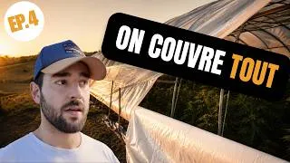 Miniature : La floraison commence… et c'était pas gagné 🌱 Ep.4 | Suivi culture CBD Light Dep