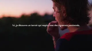 Miniature : Vigneron des Blaye Côtes de Bordeaux, Côtes de Bourg et Bordeaux Supérieur