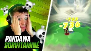 Miniature : Le NOUVEAU PANDAWA AIR est INSANE sur DOFUS TOUCH ! ☠️