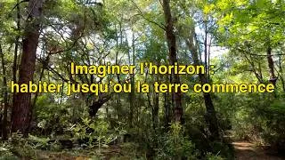 Miniature : Imaginer l’horizon : habiter jusqu’où la terre commence (communication à l'U. Moncton)