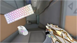 Miniature : Mes Meilleurs Moments de la Semaine - Sons de Clavier sur Valorant 🎧⌨️