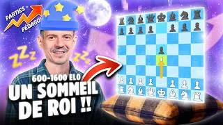Miniature : Apprends 1.e4 (écossaise, française sicilienne caro-kann scandinave) en DORMANT 💤