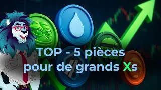 Miniature : TOP-5 Coins de cette Altseason
