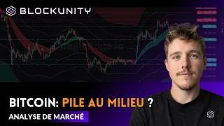 Miniature : Bitcoin : La Terre du Milieu