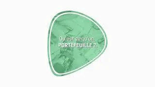 Miniature : Relations entre Portefeuille, Programme et Projet (6/7)