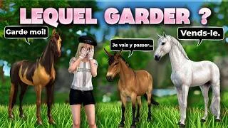 Miniature : Tout savoir sur le Quarter Horse ⭐ | Star Stable