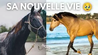 Miniature : Je suis retournée voir Diosa... + visite d'un élevage pas comme les autres