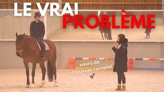 Miniature : Pourquoi votre cheval résiste toujours du même côté