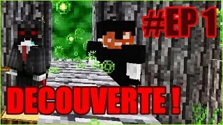 Miniature : Découverte Du ModPack "SevTech Ages" Avec Mon Poulet !