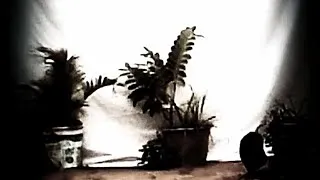 Miniature : Lil Wayne - She Will_Feat. Drake | Tradi-Contemporary African Dance Inspired By The Illustrissimes.