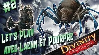 Miniature : Let's play  Divinity Original Sin #2 avec Pourpre et Laenn en Coop FR