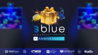 Miniature : Blue 1er Anniversaire