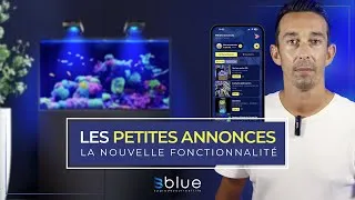 Miniature : Découvrez notre nouvelle fonctionnalité : Les Petites Annonces !