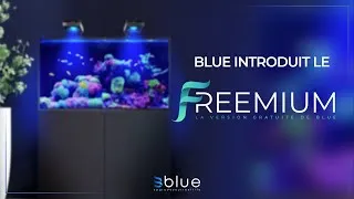 Miniature : Nouveauté - Blue introduit le Freemium