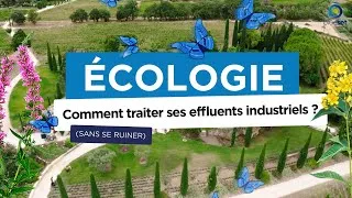 Miniature : Écologie : Comment traiter ses effluents industriels (sans se ruiner)