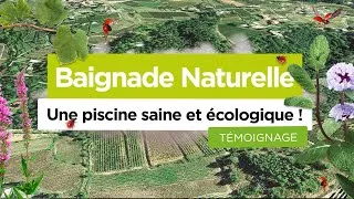 Miniature : Baignade Naturelle : Une piscine saine et écologique ! (Témoignage)