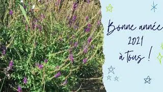 Miniature : Bonne année 2021 - BlueSET