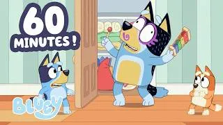 Miniature : Bandit s'empare du Magic Xylophone! 😮💙 | Bluey Français Chaîne Officielle