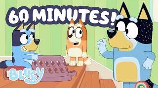 Miniature : Bandit s'enregistre à l'hôtel de Bluey et Bingo! 💙🏨 | Bluey Français Chaîne Officielle