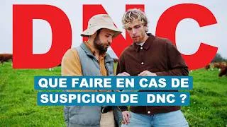 Miniature : Que faire en cas de suspicion de dermatose nodulaire contagieuse ? 🐄