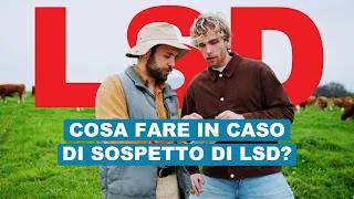 Miniature : Cosa fare in caso di sospetto di dermatite nodulare contagiosa? 🐄