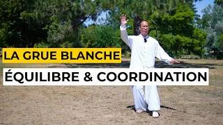 Miniature : Tai Chi pour l’équilibre et la coordination | La Grue blanche déploie ses ailes – Forme 24 Yang