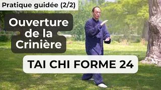 Miniature : Tai Chi Forme 24 | Ouverture de la Crinière (2/2)