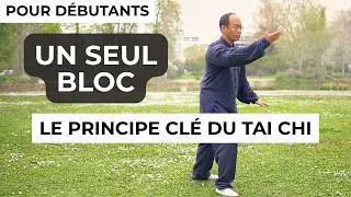 Miniature : Tai Chi pour débutants : synchronisation du corps