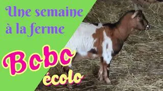 Miniature : Une semaine à la ferme