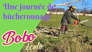 Miniature : Bucheronnage #astuce bucheron #viealacampagne #viesaine
