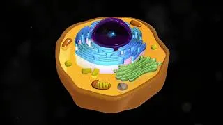 Miniature : Découverte de la Cellule Végétale et Animale : Structure et Fonctions