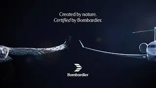Miniature : Bombardier Global 8000 | Created by Nature. Certified by Bombardier.
