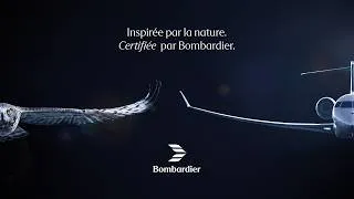 Miniature : Bombardier Global 8000 | Créé par la nature. Certifié par Bombardier.